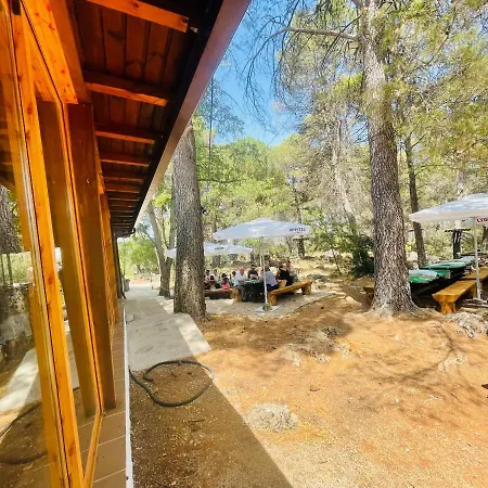 Hostal Hospedería Montaña Morciguillinas Cortijos Nuevos